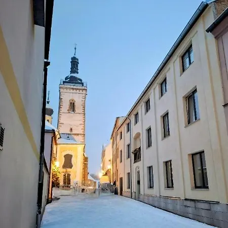 Lägenhet Apartmany Stribro Stříbro