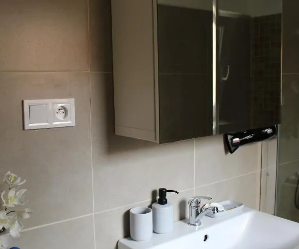 公寓 Apartmany Stribro Stříbro